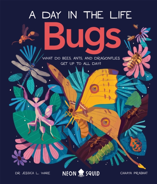Bugs (A Day in the Life) : What Do Bees, Ants, and Dragonflies Get up to All Day?, Hardback Book
