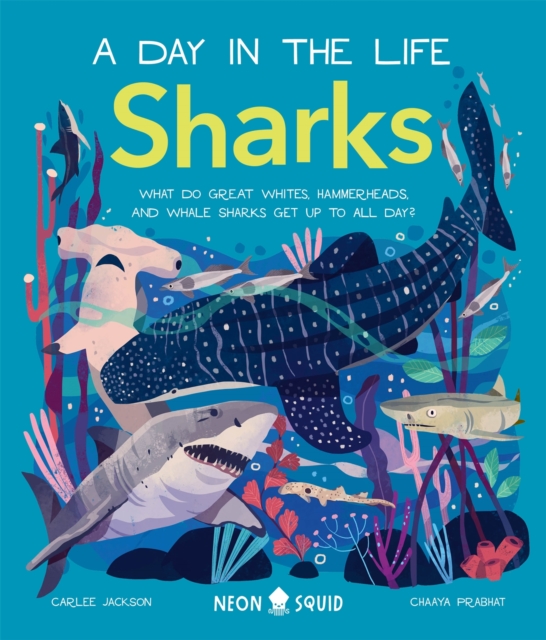 Sharks (A Day in the Life) : What Do Great Whites, Hammerheads, and Whale Sharks Get Up To All Day?, Hardback Book