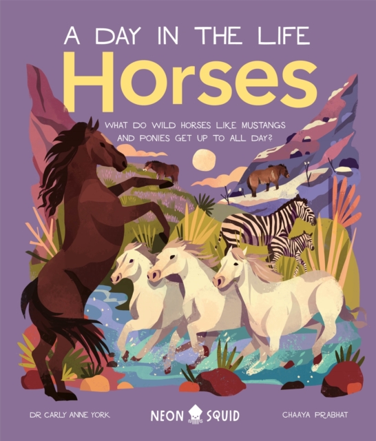 Horses (A Day in the Life) : What Do Wild Horses Like Mustangs and Ponies Get Up To All Day?, Hardback Book