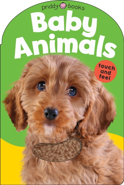 Baby Animals : Baby Touch & Feel, Board book Book