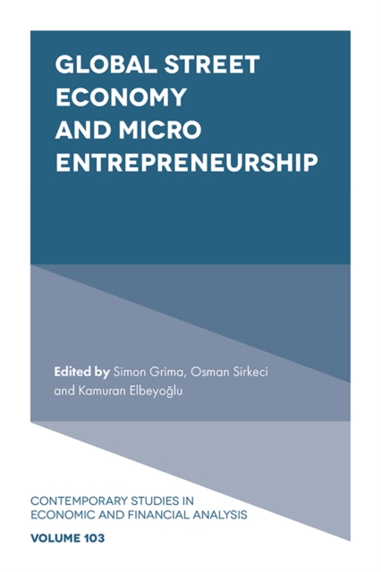Global Street Economy and Micro Entrepreneurship, EPUB eBook