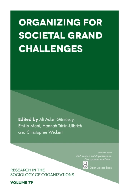 Organizing for Societal Grand Challenges, EPUB eBook
