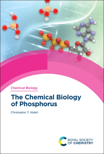 The Chemical Biology of Phosphorus, PDF eBook