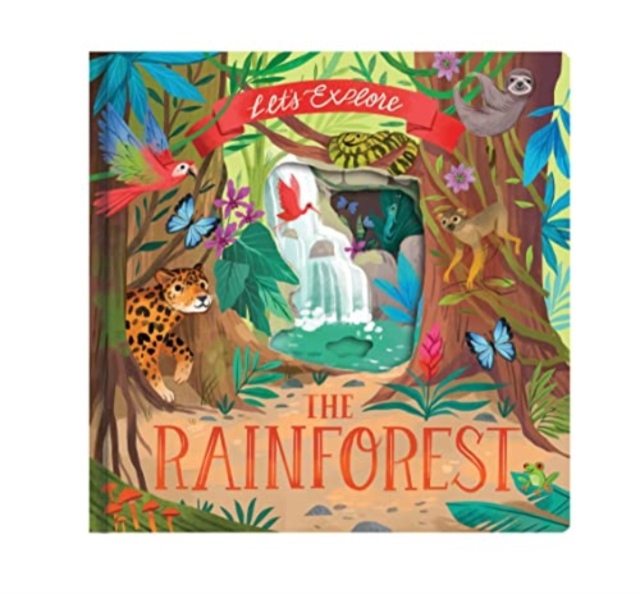 Let'S Explore the Rainforest, Board book Book