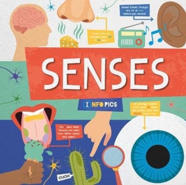 Senses, Hardback Book