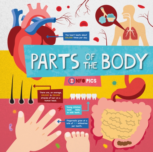Parts of the Body, Hardback Book