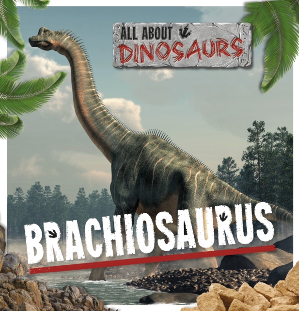 Brachiosaurus, Paperback / softback Book