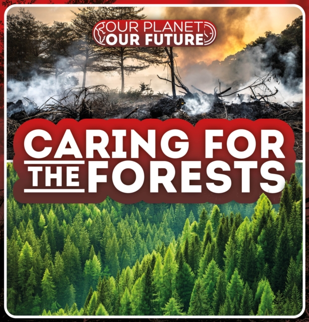 Caring for the Forests, Hardback Book