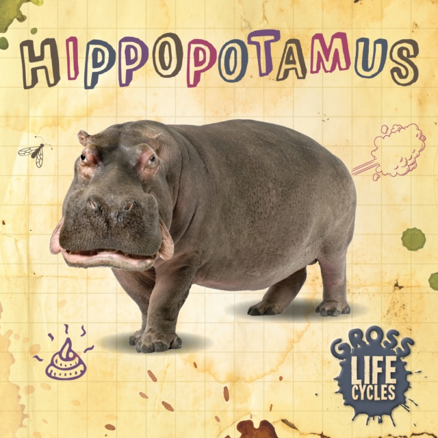 Hippopotamus, Hardback Book