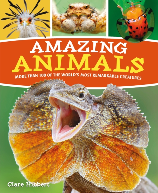Amazing Animals : More than 100 of the World's Most Remarkable Creatures, Paperback / softback Book