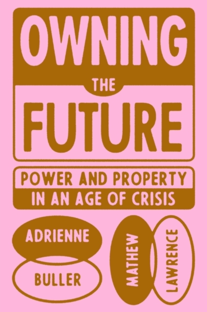 Owning the Future : Power and Property in an Age of Crisis, Hardback Book