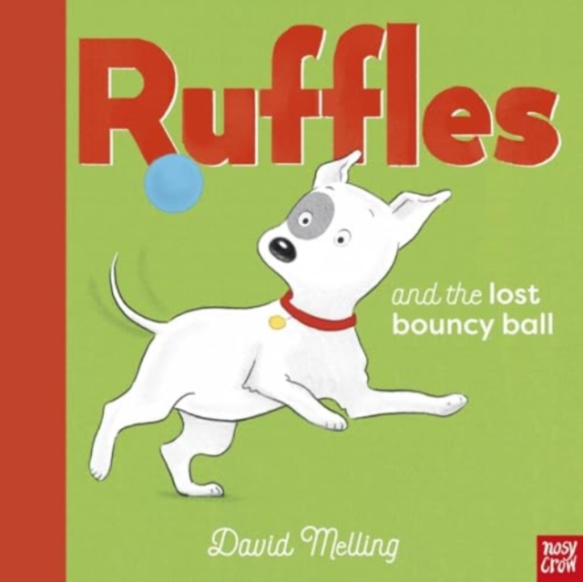 Ruffles and the Lost Bouncy Ball, Hardback Book