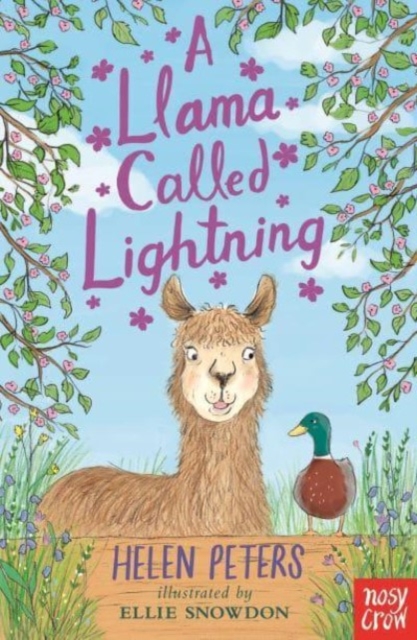 A Llama Called Lightning, Paperback / softback Book