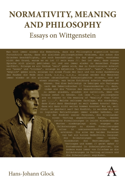 Normativity, Meaning and Philosophy: Essays on Wittgenstein, EPUB eBook