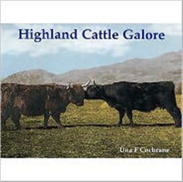 Highland Cattle Galore, Paperback / softback Book