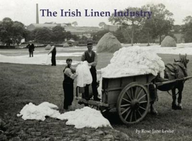 The Irish Linen Industry, Paperback / softback Book