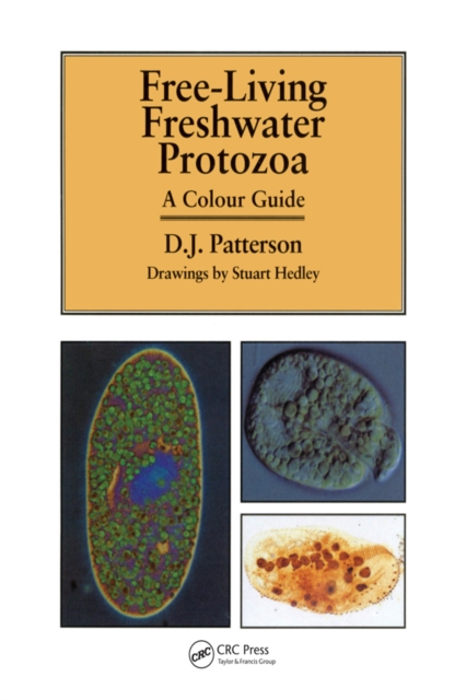 Freeliving Freshwater Protozoa, PDF eBook