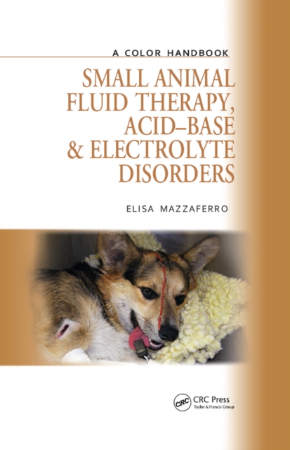 Small Animal Fluid Therapy, Acid-base and Electrolyte Disorders : A Color Handbook, EPUB eBook