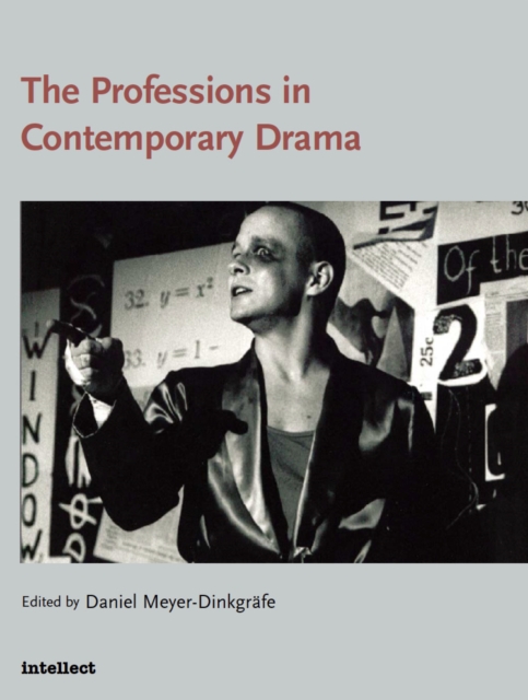 The Professions in Contemporary Drama, EPUB eBook