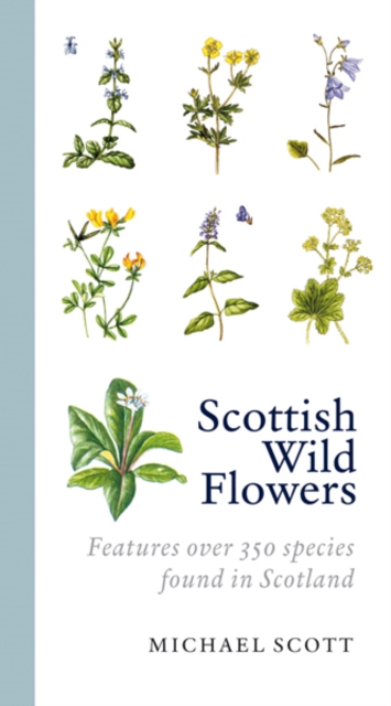 Scottish Wild Flowers, Paperback / softback Book