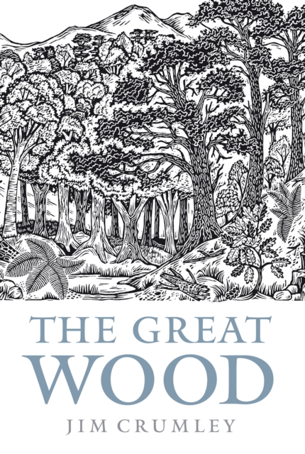 The Great Wood : The Ancient Forest of Caledon, Paperback / softback Book
