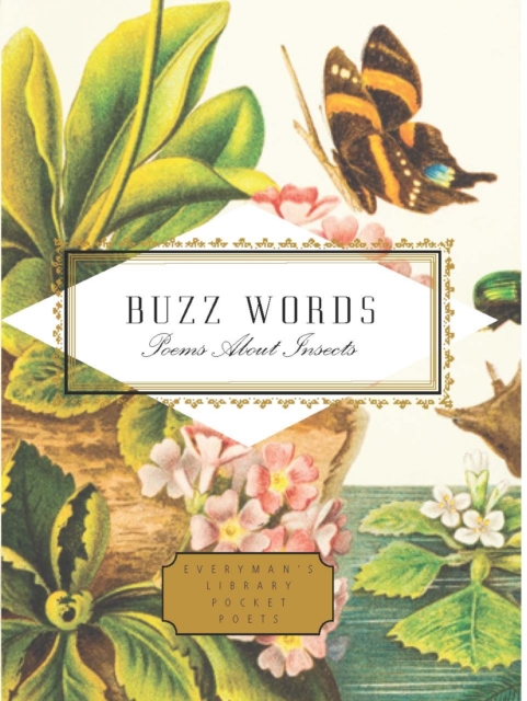 Buzz Words : Poems About Insects, Hardback Book