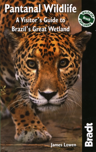 Pantanal Wildlife : A Visitor's Guide to Brazil's Great Wetland, Paperback / softback Book