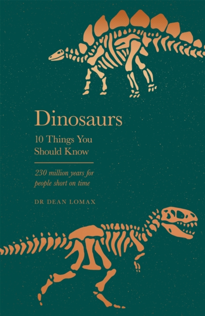Dinosaurs : 10 Things You Should Know, Hardback Book