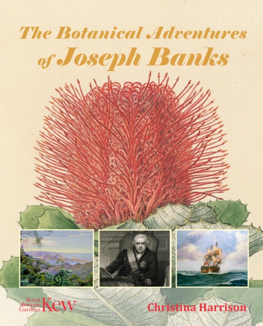 The Botanical Adventures of Joseph Banks, Hardback Book