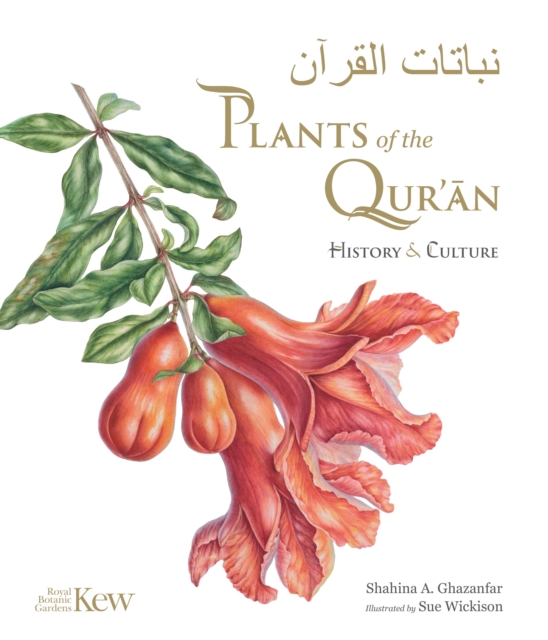 Plants of the Qur'an : History & culture, Hardback Book