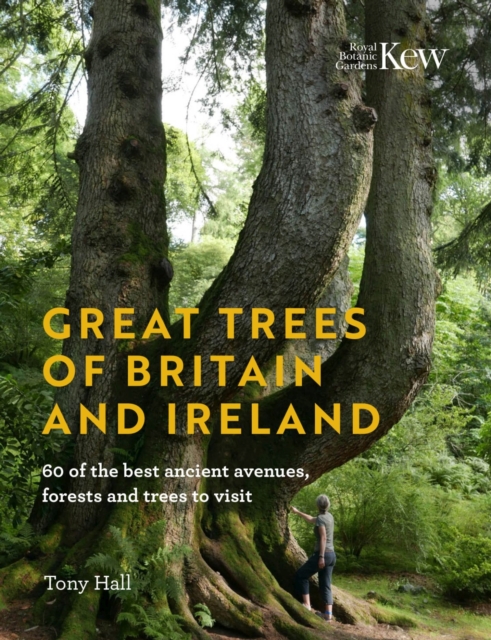 Great Trees of Britain and Ireland : Over 70 of the best ancient avenues, forests and trees to visit, Hardback Book