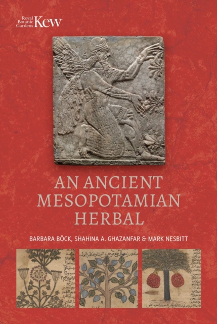 An Ancient Mesopotamian Herbal, Hardback Book