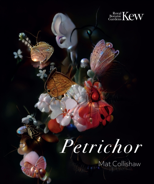 Petrichor, Paperback / softback Book