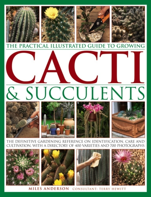 Practical Illustrated Guide to Growing Cacti & Succulents, Hardback Book