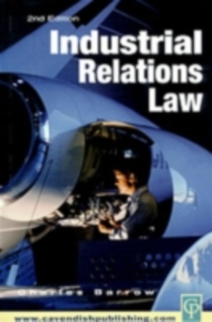 Industrial Relations Law, PDF eBook