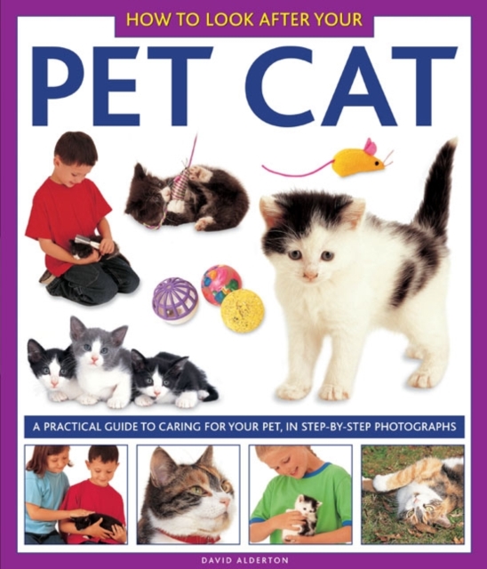 How to Look After Your Pet Cat, Hardback Book