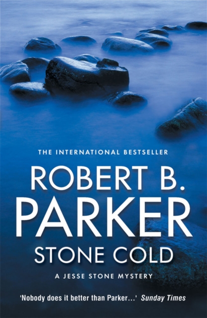 Stone Cold, Paperback / softback Book