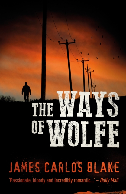 The Ways of Wolfe, EPUB eBook