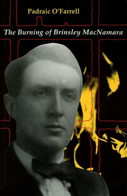 The Burning of Brinseley MacNamara, EPUB eBook