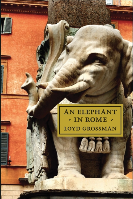 An Elephant in Rome : The Pope and the Making of the Eternal City, Hardback Book