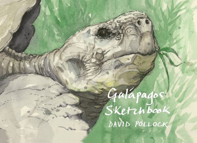 Galapagos Sketchbook, Hardback Book