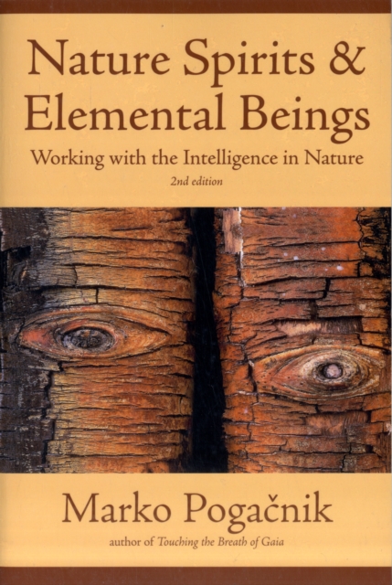 Nature Spirits & Elemental Beings : Working with the Intelligence in Nature, Paperback / softback Book
