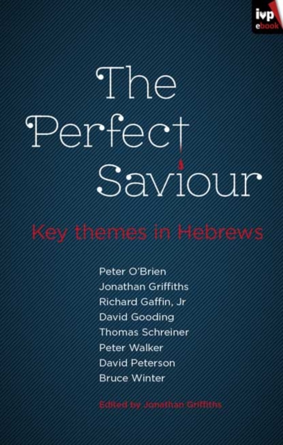 The Perfect Saviour : Key themes in Hebrews, EPUB eBook