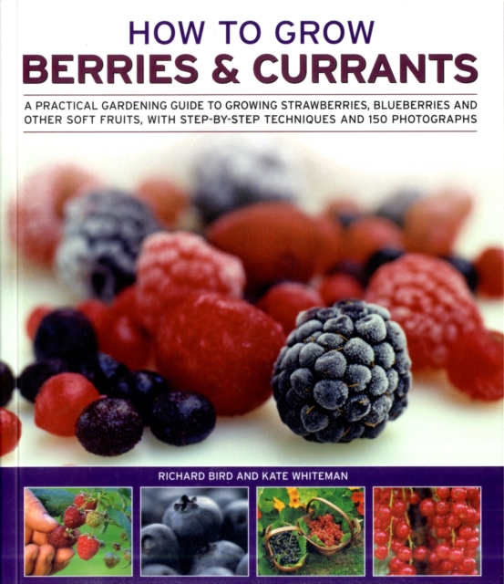 How to Grow Berries and Currants : A Practical Gardening Guide for Great Results, with Step-by-step Techniques and 185 Colour Photographs, Paperback / softback Book