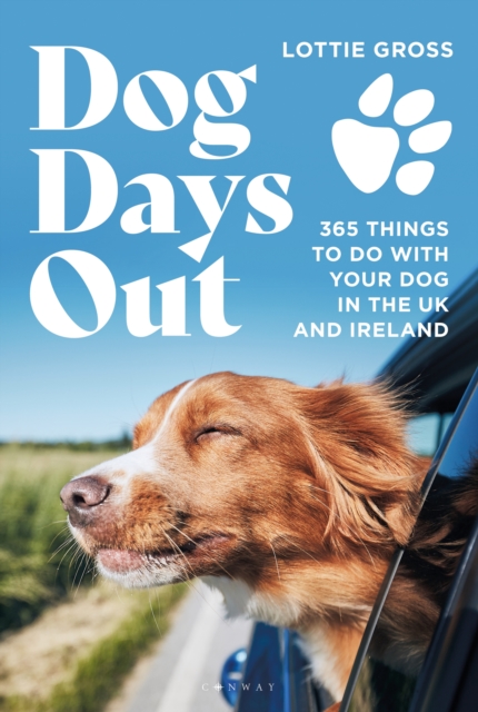Dog Days Out : 365 Things to Do with Your Dog in the Uk and Ireland, EPUB eBook