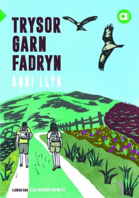 Cyfres Amdani: Trysor Garn Fadryn, EPUB eBook