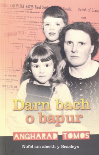 Darn Bach o Bapur, EPUB eBook