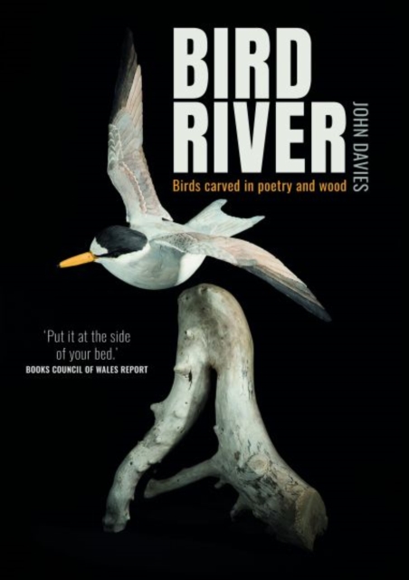 Bird River, Paperback / softback Book
