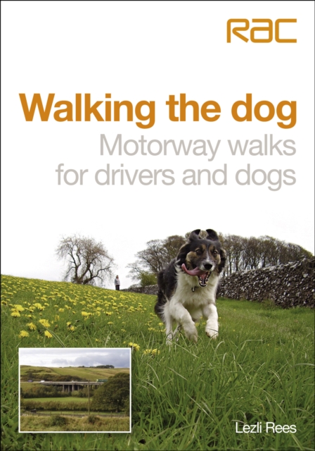 Walking the Dog : Motorway Walks for Drivers and Dogs, EPUB eBook
