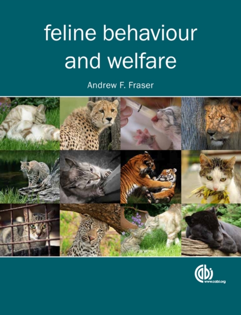Feline Behaviour and Welfare, Hardback Book